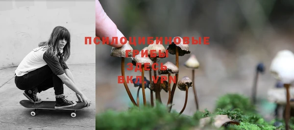 Альфа ПВП Баксан