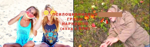 Альфа ПВП Баксан