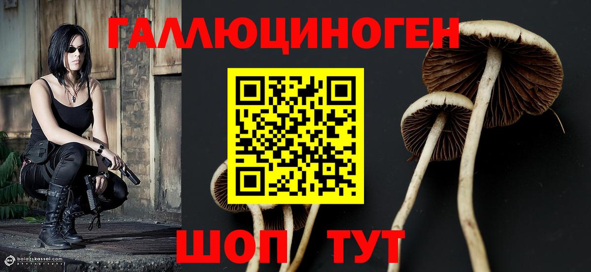Галлюциногенные грибы мицелий Унеча