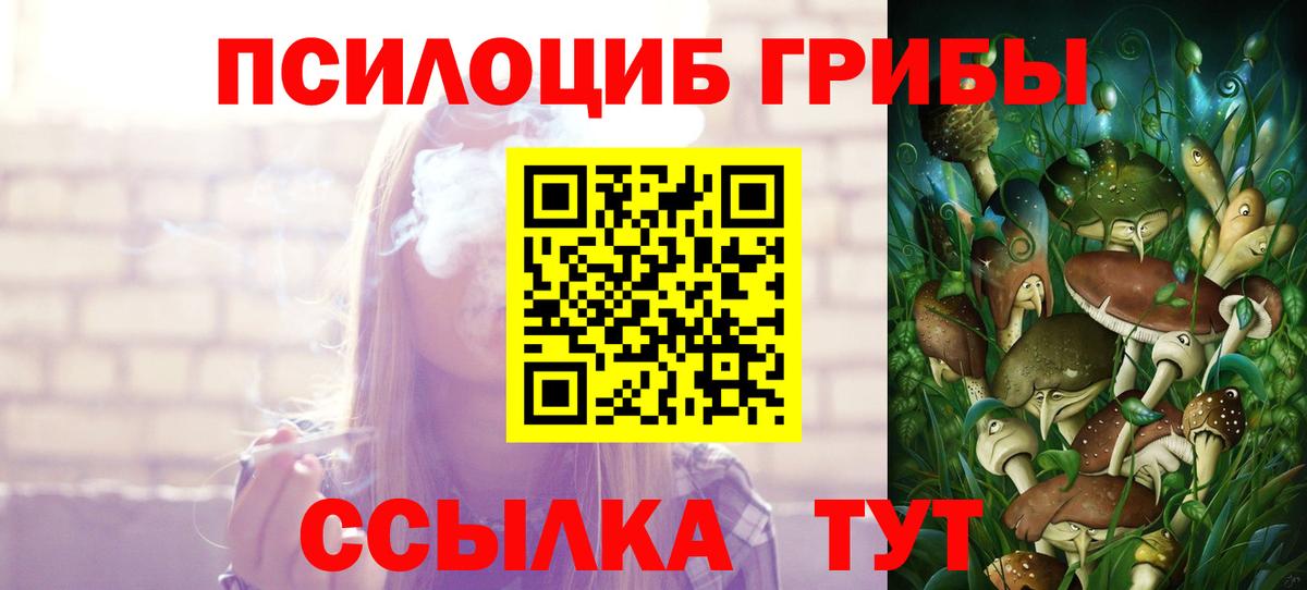 Галлюциногенные грибы Psilocybine cubensis  Вход с VPN  сколько стоит  Унеча 