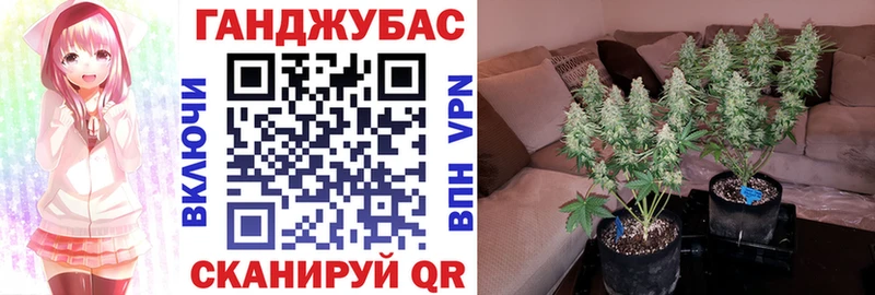 Шишки марихуана VHQ  ссылка на мегу ссылка  Унеча  магазин продажи  